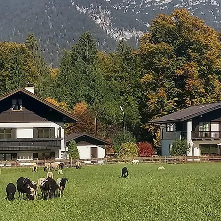 Apartment Fruehholz - -